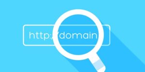domain history lookup