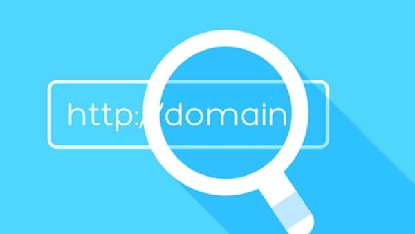 domain history lookup